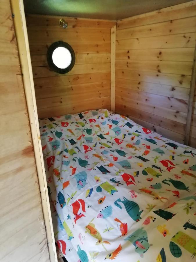 Truck & Pod Creative Nature Retreat. Bantry Eksteriør billede